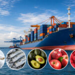 Chile alcanzó cifras récord en exportaciones