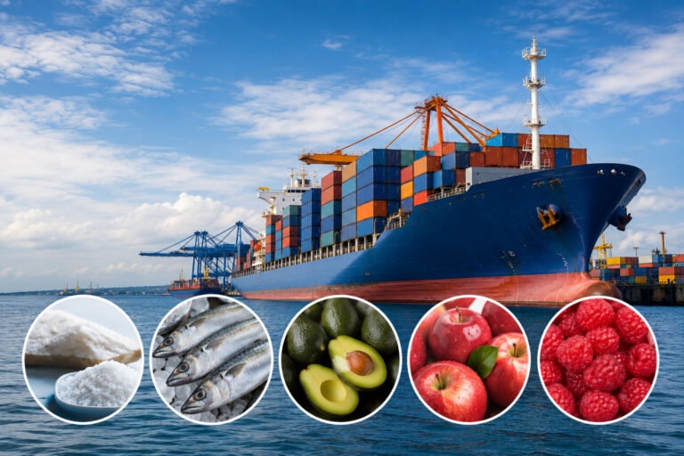 Chile alcanzó cifras récord en exportaciones